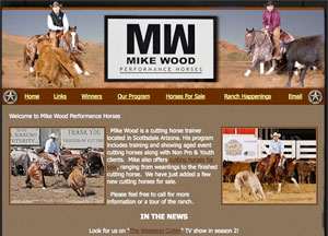 Mike Wood Website