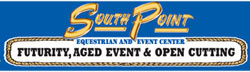 Southpoint logo and link
